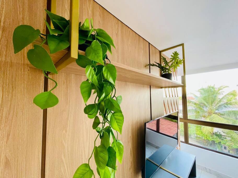 Apartamento Edificio Porto Atlantis, Com Rooftop, A 50m Do Mar